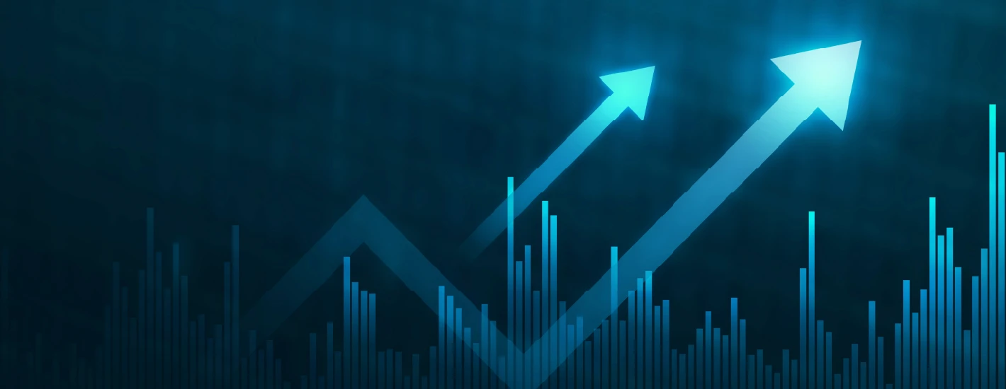 საინვესტიციო პროდუქტი "მონეტა"