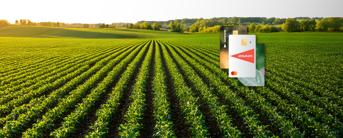 კრისტალის სადებეტო ბარათი